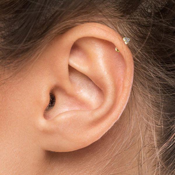 Image of an helix piercing